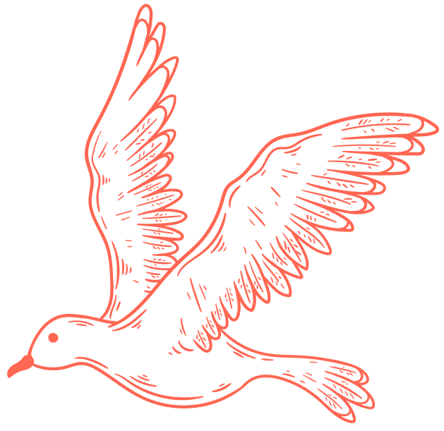 bird illustration